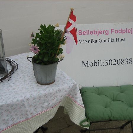 Sellebjerg Apartment Bindslev Exterior photo